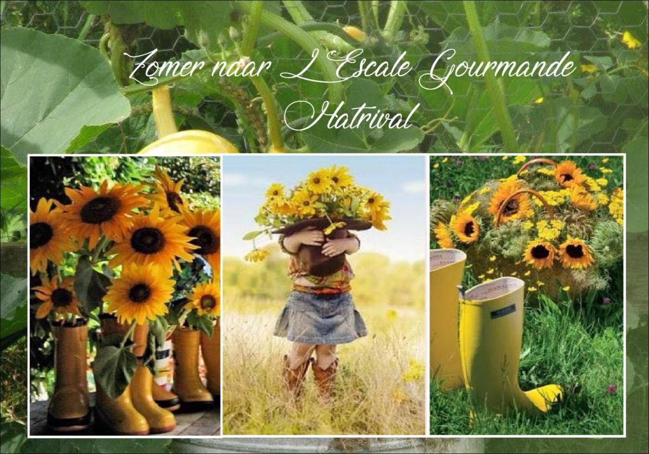L'Escale Gourmande Villa Hatrival Екстериор снимка
